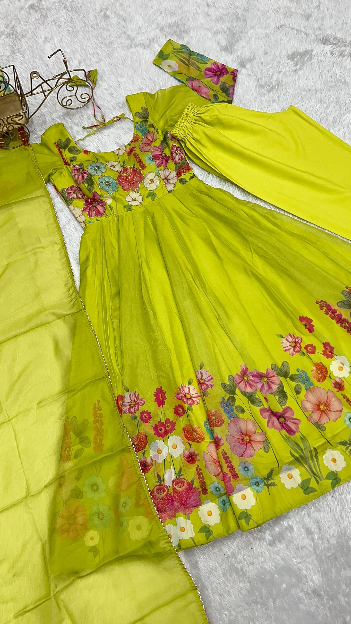 Organza Silk Kali Pattern Set with Canvas Patta & Dupatta